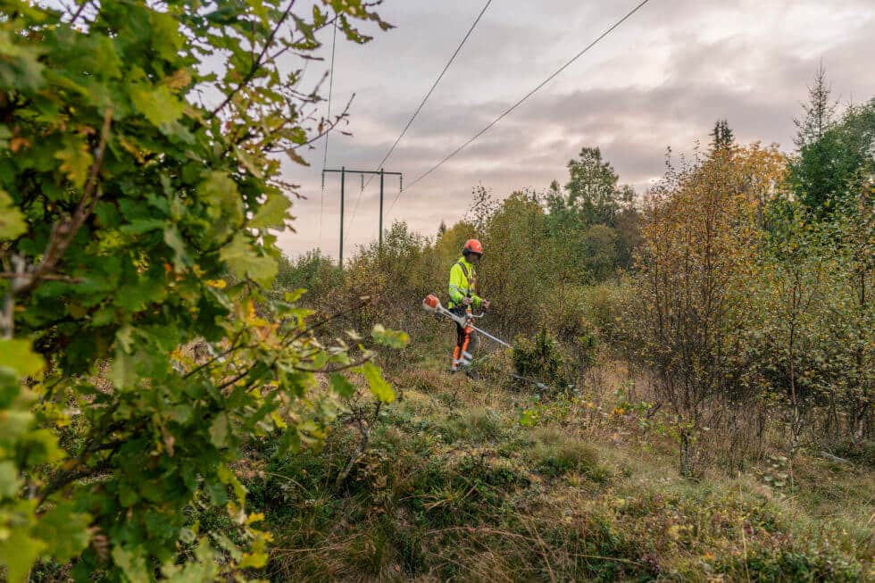 Röjning vid ledningsgata